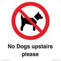 no-dogs-upstairs-please-~